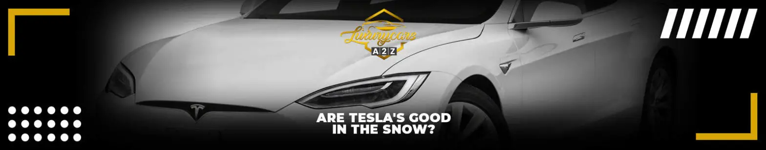 Zijn Tesla's goed in de sneeuw?