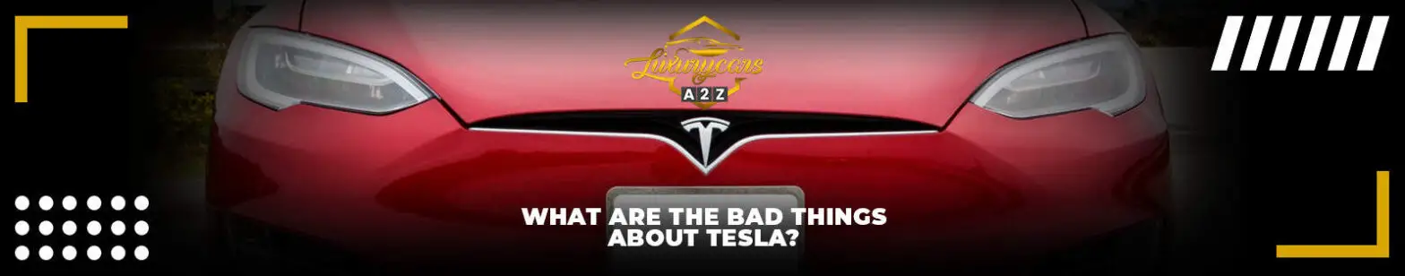 Wat zijn de slechte dingen aan Tesla?