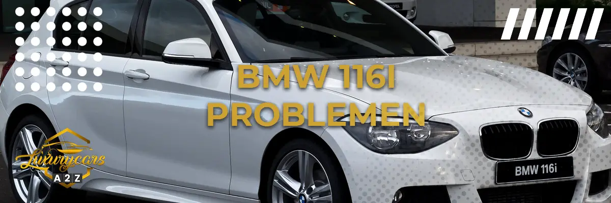 BMW 116i Problemen