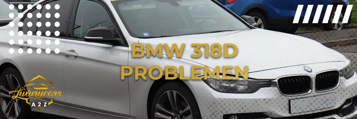 BMW 318d Problemen