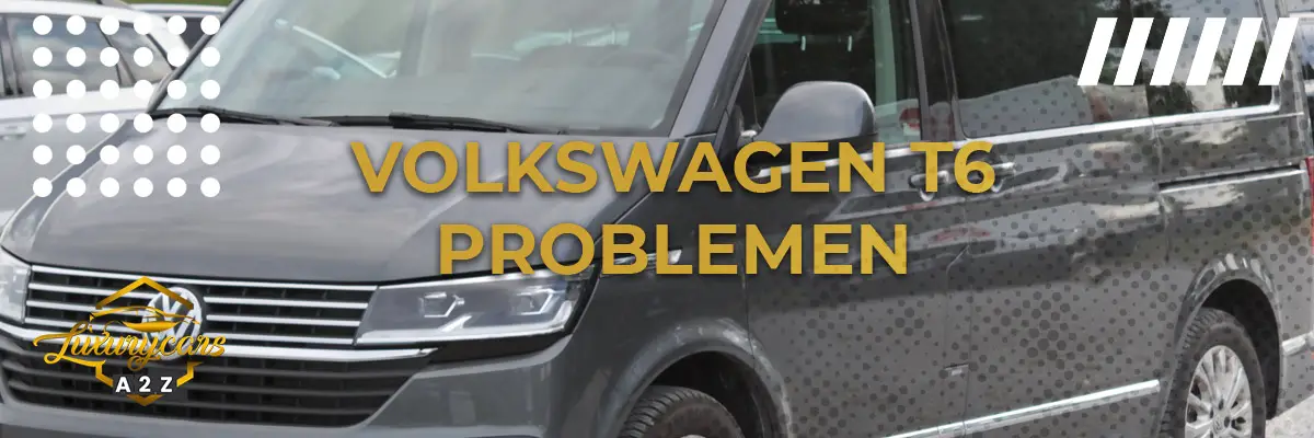 Volkswagen T6 problemen