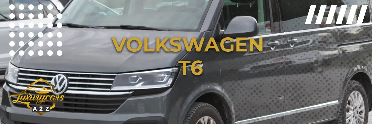 Is Volkswagen T6 een goede bestelwagen?