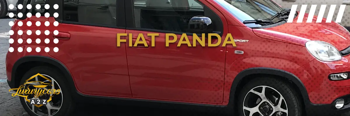 Is de Fiat Panda een goede auto?