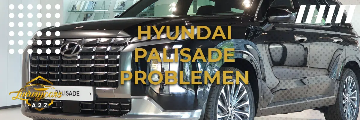 Hyundai Palisade problemen