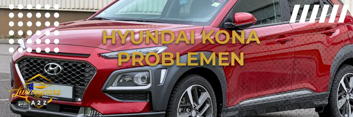 Hyundai Kona problemen